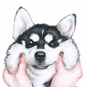  狗狗头像搞笑图片搞笑狗狗头像高清图片大全