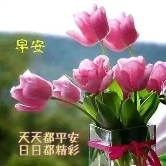  微信朋友圈特漂亮的早上好图片早上好问候句子