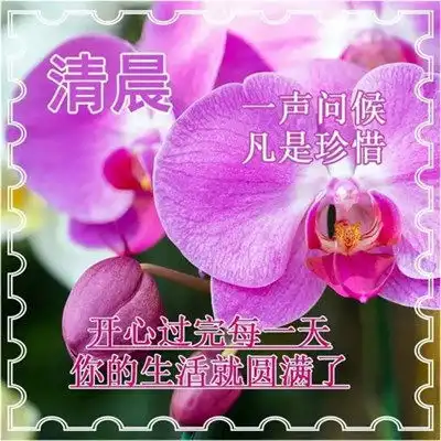  2023最新早晨好早上好漂亮问候祝福图片头像