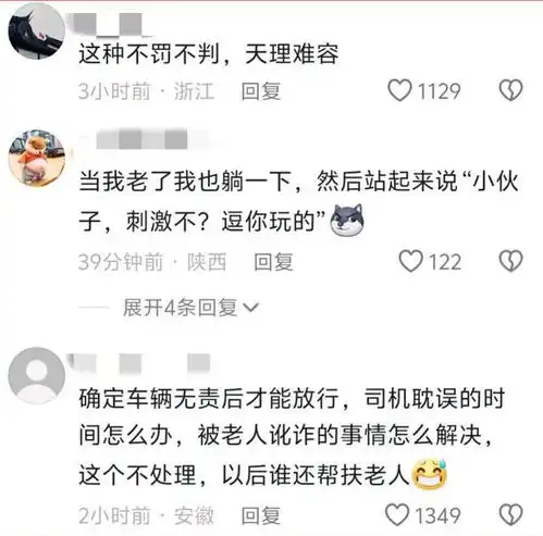  平顶山好心司机倒大霉,大爷几步跑到卡车前面趴下碰瓷,言语搞笑