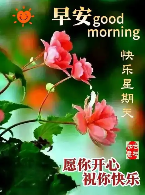  早安朋友周日快乐