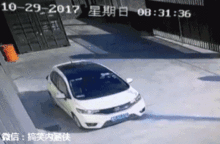  搞笑gif趣图狗狗我是谁我在哪,刚刚发生了什么