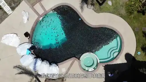  塑料球能有多大浮力老外把600斤球铺满泳池,结果这么好玩
