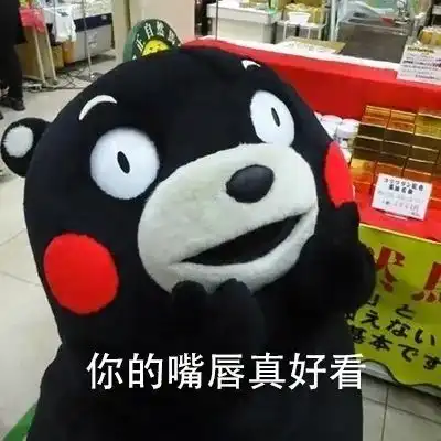  表情包我很会养猪你愿意和我在一起吗