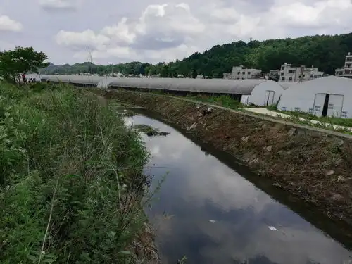  黔西市谷里镇清明村组织清理河道我为群众办实事