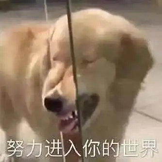  胶棒涂嘴女生为了变美有多拼...