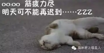 打呼噜图片大全搞笑我的天