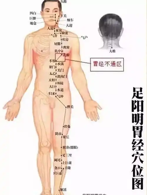  一套从头练到脚的经络操,比三伏贴还管用,彻底打通经络百病消视频讲解