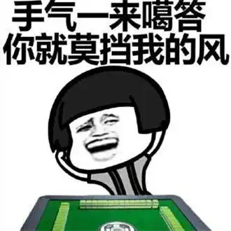  打麻将搞笑表情包