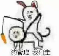 套路表情包一套猪皮皮虾