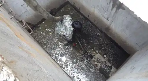 为什么有人说鲶鱼是最脏的鱼