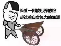  qq群斗图必备qq表情包8