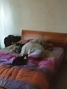 记者暗访地下猫色场所,曝光的产业内幕震惊了网络  记者暗访地下猫色场所,曝光的产业内幕震惊了网络