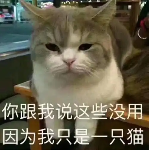 搞笑图片带字幽默微信好