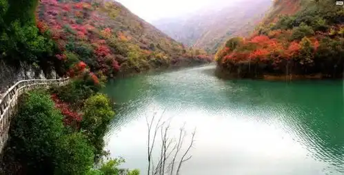  清明出游丨小长假去哪儿跟着我们来场跨省游