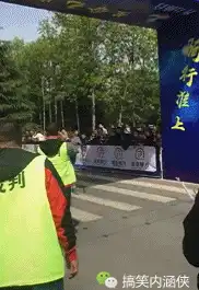  搞笑gif趣图终于知道猫为什么越来越懒惰了,因为狗把猫的活都干了