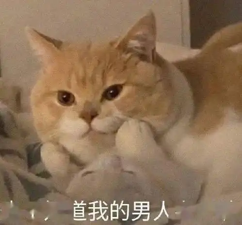  你醒啦假期只剩一天啦