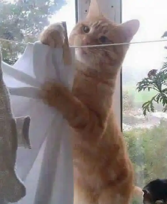 搞笑图片原来这就是每天上班迟到的原因  搞笑图片原来这就是每天上班迟到的原因