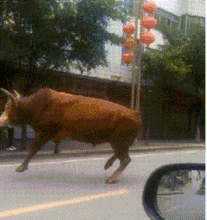  搞笑gif趣图妹子咱能不能不这么逗