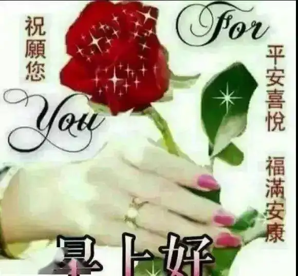  祝福朋友中午好表情图片暖心祝福图片祝福语大全