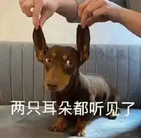  分享一些狗狗表情包