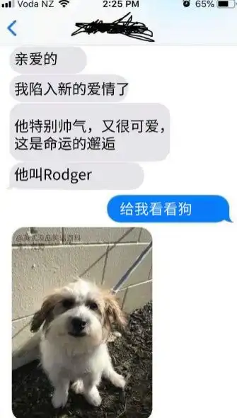  搞笑图片这是一只被老板训练过的鸭子,你就是套不中...