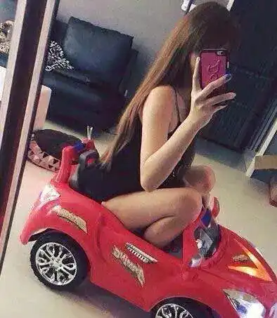 猫gif搞笑图片刚买