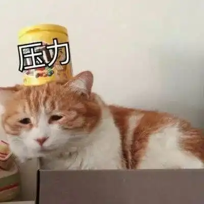  等本仙敷完面膜在怼你表情包