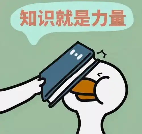  噔噔蹬超实用app大放送