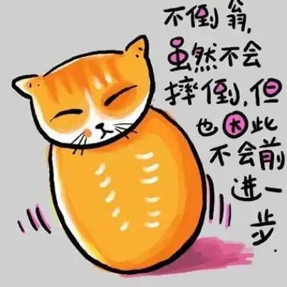  人生的答案,都浓缩在这有趣的图片里