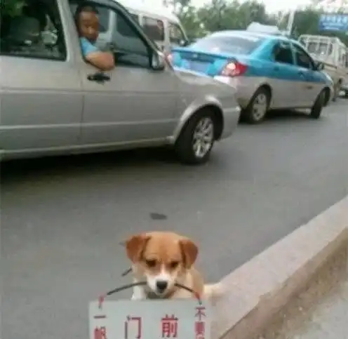 运气倒霉的搞笑图片幽默