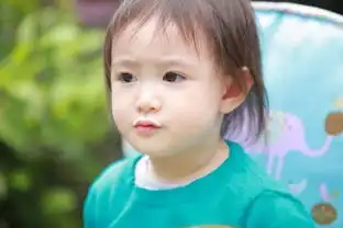  孙俪儿子黄多多奥莉kimi星二代萌哭网友