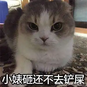  搞笑图片幽默段子笑话大哥,跟他一样又胖又不要脸