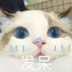 牵起孩子小手种一颗小树送一份最佳的成长礼物