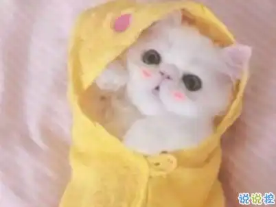 晚安心语励志简短一点睡前晚安说说精选带图片