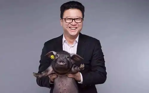  退出双十一网易严选的倔强