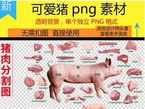 猪图片大全搞笑可爱宠物猪