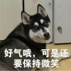  贵圈不乱影视作品里有哪些令人拍案称奇的智障桥段
