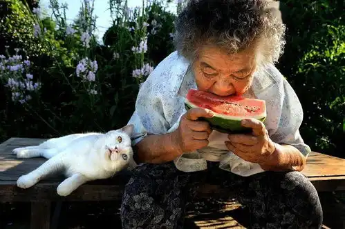  干啥啥不行,拍照第一名