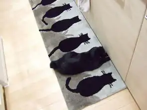  15张名副其实的躲猫猫摄影照片