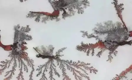  豆你玩实验室18铁树开花,这是什么神奇的操作