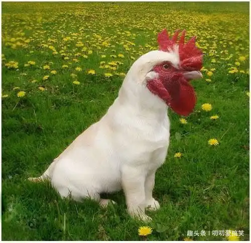  幽默笑话哥,你再不撒手,可要加钱的