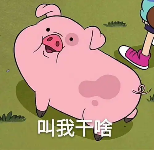  网猪