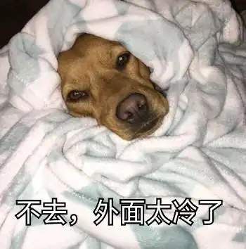  适合天气冷的时候发的搞笑表情包