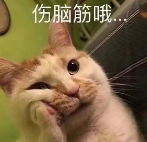 肖战发猫咪表情包直言,活在当下不减肥了,借此机会我想说说他  肖战发猫咪表情包直言,活在当下不减肥了,借此机会我想说说他