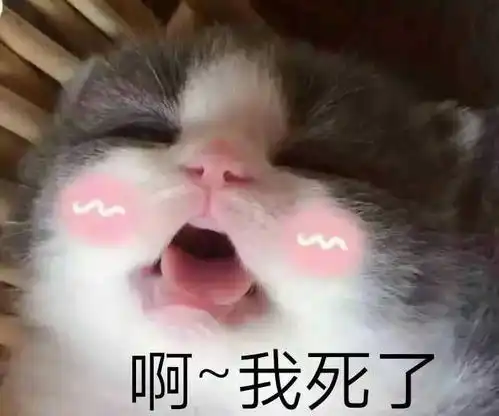 乖别怕表情包别怕