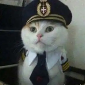  简单女生头像文艺范微信头像图片大全