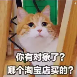  红包攻略如何乖巧地获得更多的红包