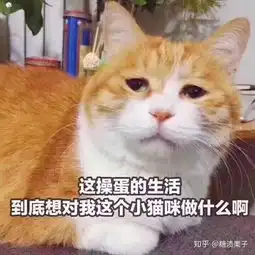 高考落户省份