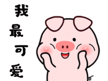  猪的段子和搞笑动图表情包16图